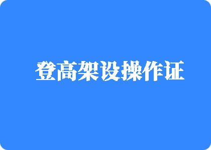 骚草影视登高架设操作证